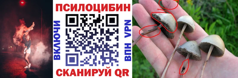 даркнет сайт  блэк спрут вход  Псилоцибиновые грибы ЛСД  Камбарка 